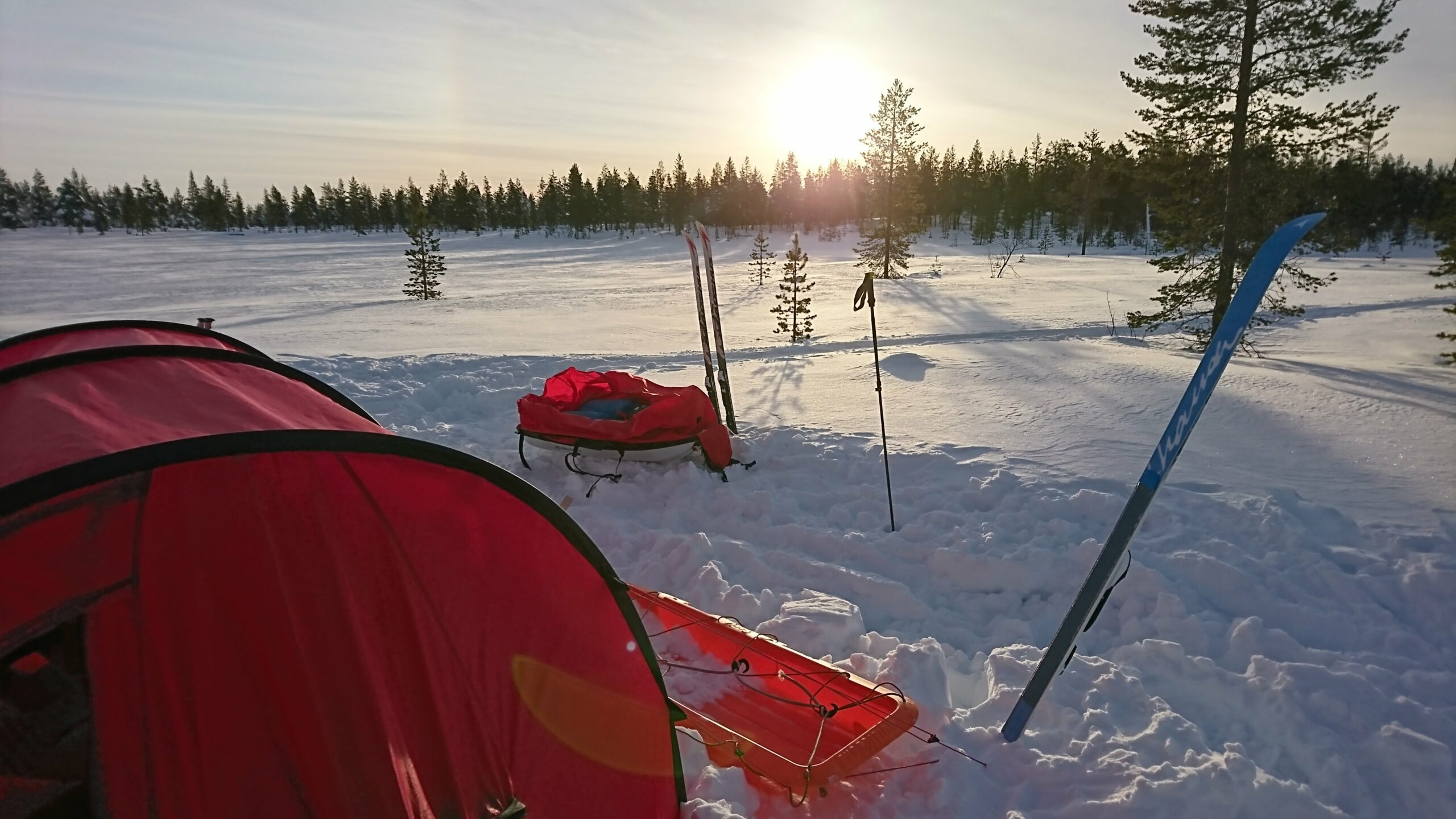 Vinterferie til Pasvik 2019
